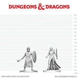 D&D Nolzur's Marvelous Unpainted Miniatures: Black Gauntlet & Zhentilar Paladin of Bane (EN)^ Aug 20 (Special Order)