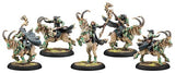 CIRCLE DRUID MIST RIDERS UNIT BOX (PLASTIC) (Special Order)