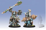TROLLBLOOD HOARLUK EPIC WARLOCK UNIT BOX (PLASTIC) (Special Order)