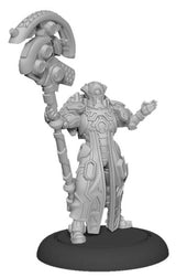 WARCASTER IRON STAR ALLIANCE PALADIN WEAVER SOLO (Special Order)