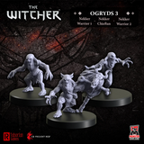 WITCHER RPG OGRYDS 3 NEKKER WARRIORS BLISTER (Special Order)
