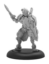 WARCASTER IRON STAR ALLIANCE PALADIN COMMANDER SOL (Special Order)