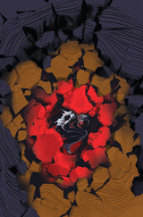 THE FLASH #7 TAYLOR (Special Order)