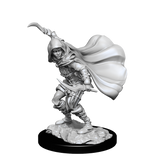 PF UNPAINTED MINIS WV14 HUMAN ROGUE FEMALE (Special Order)