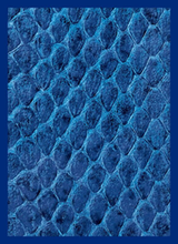 LEGION GLOSS SLEEVE DRAGON HIDE BLUE (Special Order)