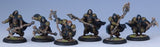 CIRCLE DRUIDS OF ORBOROS UNIT BOX (Special Order)