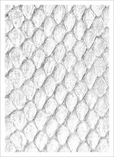 LEGION GLOSS SLEEVE DRAGON HIDE WHITE (Special Order)