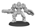 WARCASTER AETERNUS CONTINUUM MARAUDER SOLO BOX (Special Order)