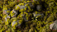 Gamers Grass Moss 2mm Tuft (Special Order)