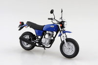 Aoshima 1/12 The Bike #40 Honda HC07 APE 100 '06 (Special Order)
