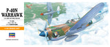 Hasegawa 1/72 P-40N Warhawk (Special Order)