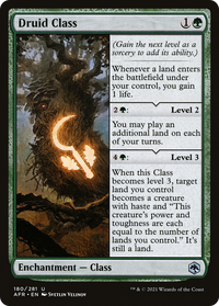 Druid Class [Dungeons & Dragons: Adventures in the Forgotten Realms]