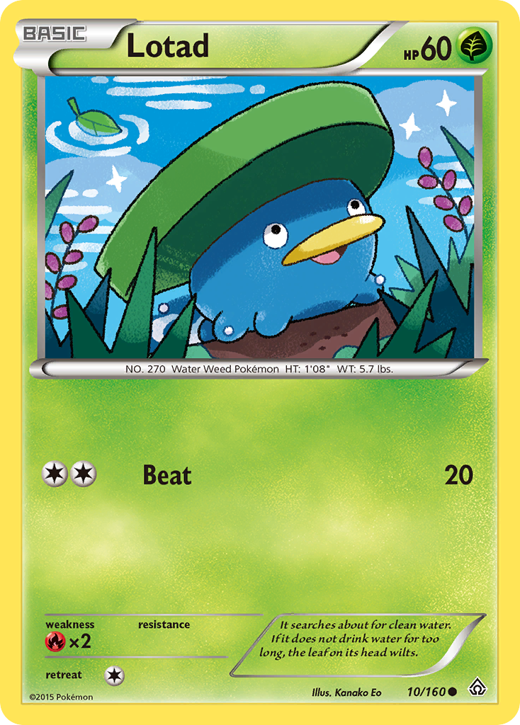 Lotad (#) (11) - XY Trainer Kit Latias & Latios