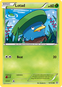 Lotad (#) (11) - XY Trainer Kit Latias & Latios