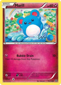 Marill (76/114)  - XY  Steam Siege