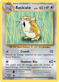Raticate (67/108)  - XY  Evolutions