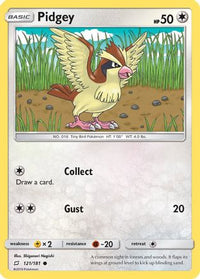 Pidgey (121/181)  - SM  Team Up