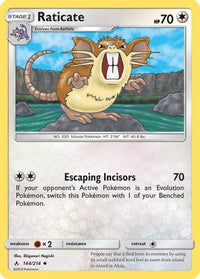 Raticate (144/214)  - SM  Unbroken Bonds