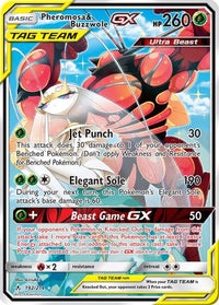 Pheromosa & Buzzwole GX  (Alternate Full Art) (192/214)  - SM  Unbroken Bonds Holofoil