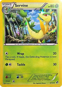Servine (Cracked Ice Holo) (3/114) - Miscellaneous Cards & Products Holofoil