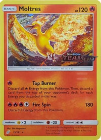 Moltres (Team Up Stamped) (19/181)  - Miscellaneous Cards & Products Holofoil