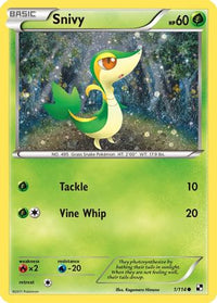 Snivy (1/114) (Cosmos Holo) [Noir et Blanc : Ensemble de base] 
