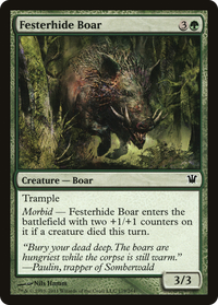 Festerhide Boar [Innistrad]