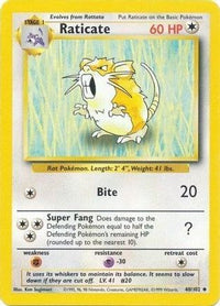 Raticate (40/102)  - Base Set
