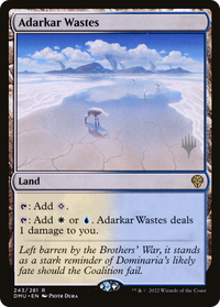Adarkar Wastes (Pack promotionnel) [Dominaria United Promos] 