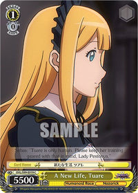 Une nouvelle vie, Tuare [Nazarick : Tomb of the Undead Vol.2] 