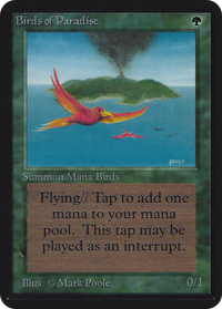Birds of Paradise [Alpha Edition]