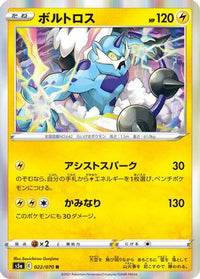 Thundurus 022/070 - S5a Peerless Fighters Holofoil (Japanese)