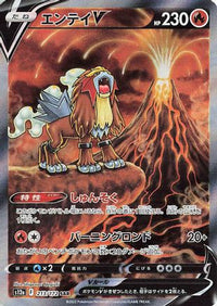 Entei V 213/172 - S12a VSTAR Universe Holofoil (Japanese)