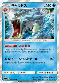 Gyarados 016/053 - SM6a Dragon Storm Holofoil (Japanese)