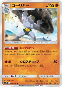 Machoke 029/050 - SM2K Islands Await You  (Japanese)