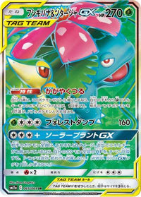 Venusaur & Snivy GX - 065/064 065/064/undefined - SM11a Remix Bout Holofoil (Japanese)