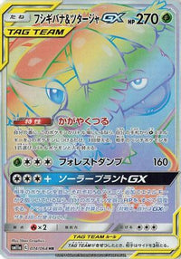 Venusaur & Snivy GX 074/064 - SM11a Remix Bout Holofoil (Japanese)