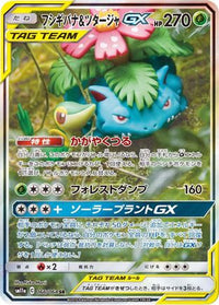 Venusaur & Snivy GX 066/064 - SM11a Remix Bout Holofoil (Japanese)