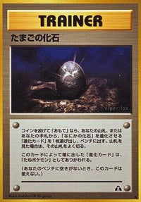 Fossil Egg - Crossing the Ruins  (Japanese)