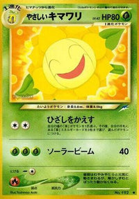 Light Sunflora - Darkness and to Light  (Japanese)
