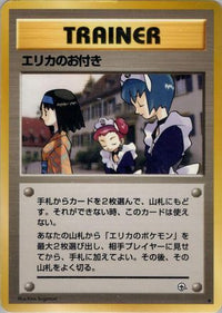 Erika's Maids - Leaders Stadium  (Japanese)