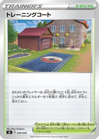 Training Court 028/030 - sK VSTAR Premium Trainer Box  (Japanese)