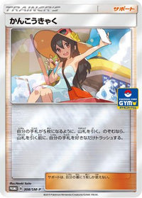Sightseer  SM-P 308/SM-P - SMP Sun & Moon Promos Holofoil (Japanese)