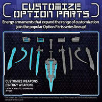 CUSTOMIZE WEAPONS(ENERGY WEAPON) (Pre-Order)