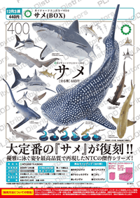 NTC400 Sharks (BOX) (Pre-Order)