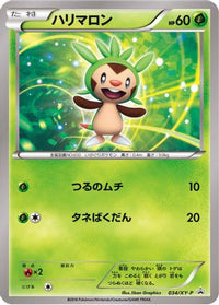 Chespin  XY-P 034/XY-P - XYP XY Promos  (Japanese)