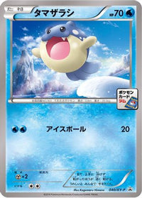 Spheal  XY-P 040/XY-P - XYP XY Promos  (Japanese)