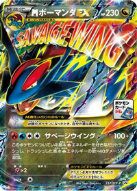 Salamence  XY-P 257/XY-P - XYP XY Promos Holofoil (Japanese)