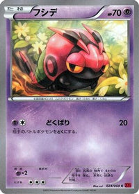 Venipede 024/060 - XYBy Collection Y Unlimited (Japanese)