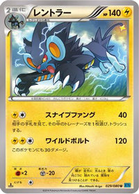 Luxray 029/080 - XY2 Wild Blaze Unlimited (Japanese)